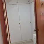 Cica